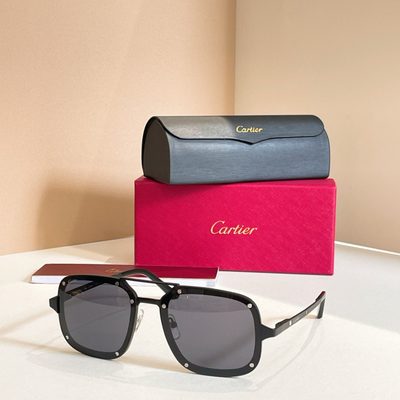 Cartier Sunglasses — 7