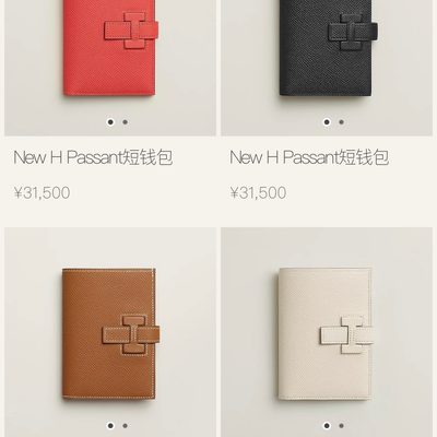 Hermes Bag — 9
