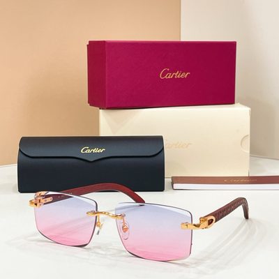 Cartier sunglasses — 6