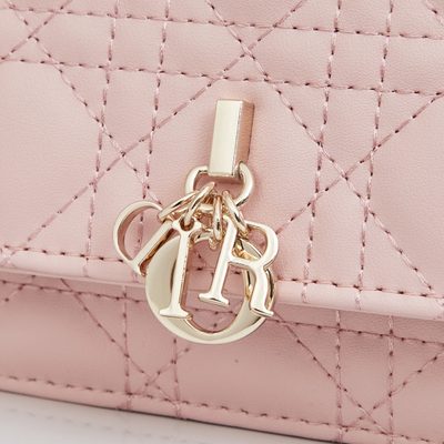 Dior Bag — 5