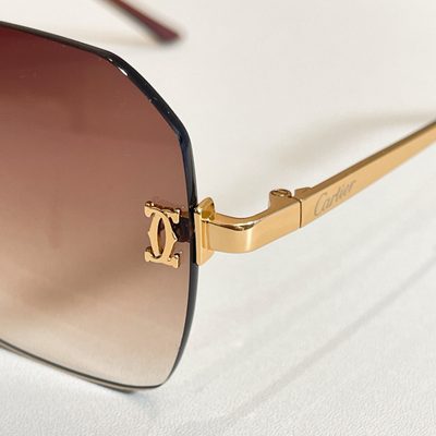 Cartier Sunglasses — 7