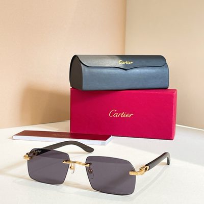 Cartier Sunglasses — 4
