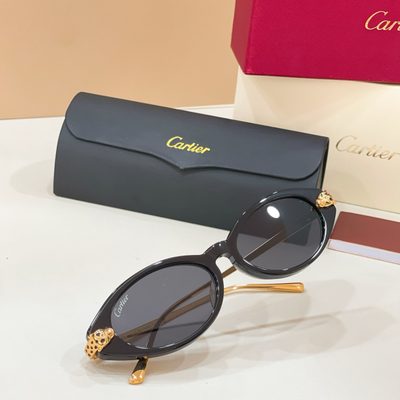 Cartier Sunglasses — 6