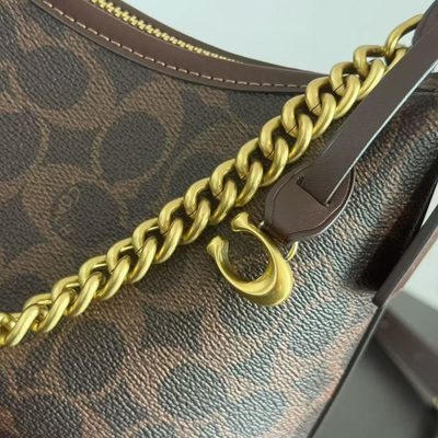 Coach Bag — 4
