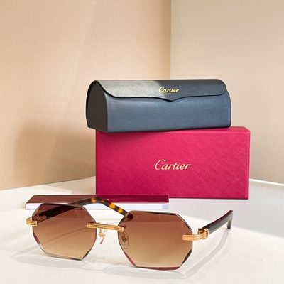 Cartier Sunglasses — 5