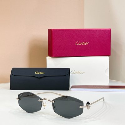 Cartier Sunglasses — 5