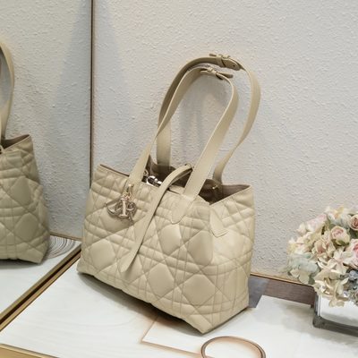 Dior Bag — 5