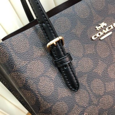 Coach Bag — 5