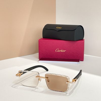 Cartier Sunglasses — 8