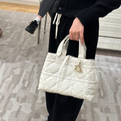 Dior Bag — 8