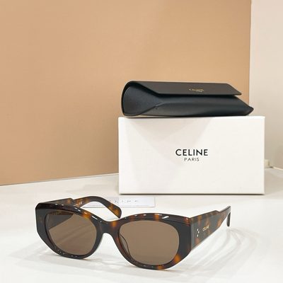 Celine Sunglasses — 6