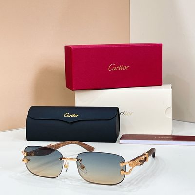 Cartier Sunglasses — 4