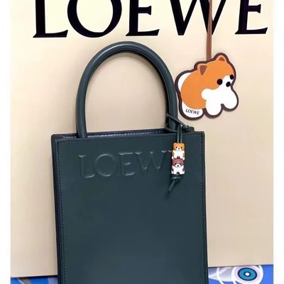 Loewe Bag — 8