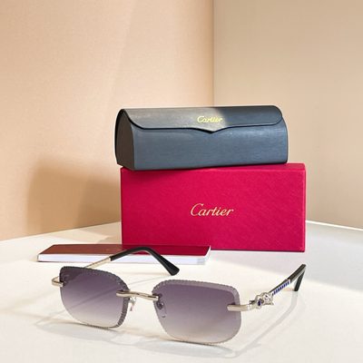 Cartier Sunglasses — 4