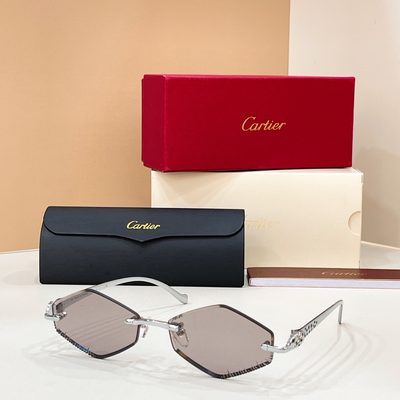 Cartier Sunglasses — 4