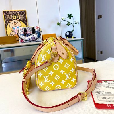 Louis Vuitton Bag — 8