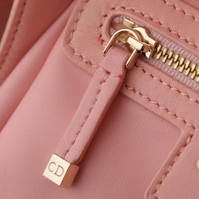 Dior Bag — 9