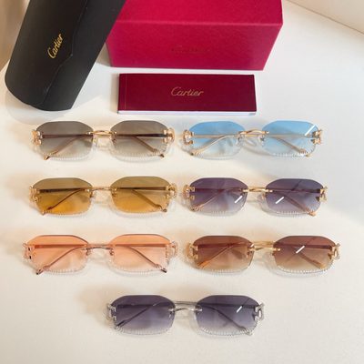 Cartier Sunglasses — 8
