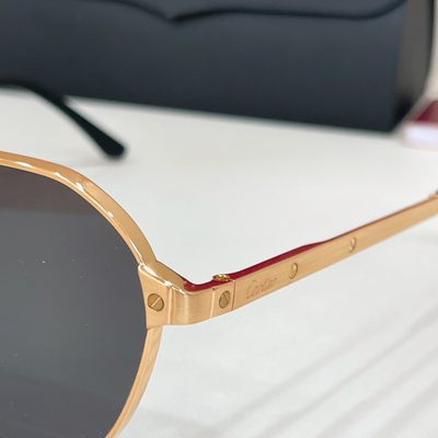 Cartier Sunglasses — 9