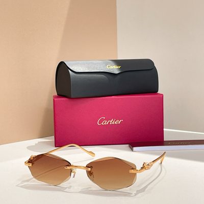 Cartier Sunglasses — 6