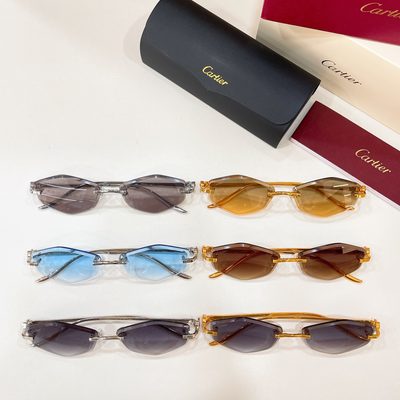 Cartier Sunglasses — 8