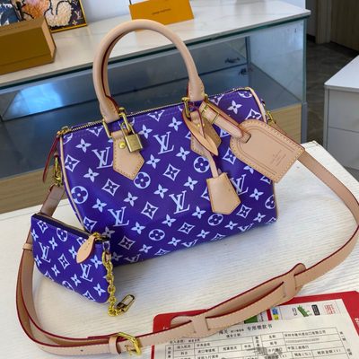 Louis Vuitton Bag — 3