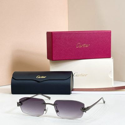 Cartier Sunglasses — 7