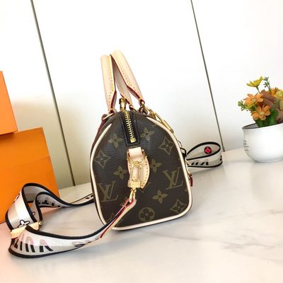 Louis Vuitton Bag — 5
