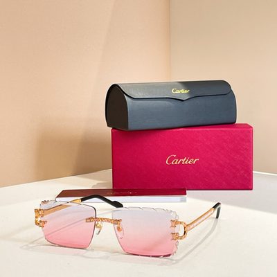 Cartier Sunglasses — 8