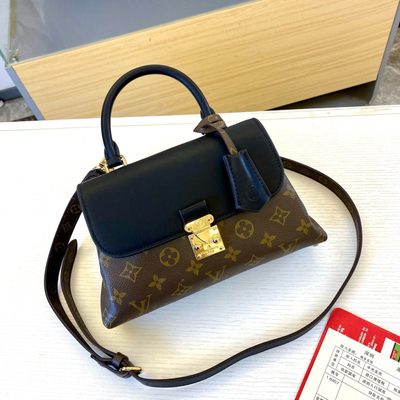 Louis Vuitton Bag — 3