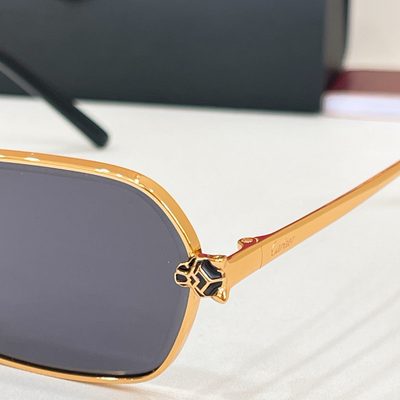 Cartier Sunglasses — 9