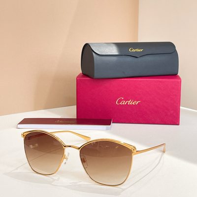 Cartier Sunglasses — 4