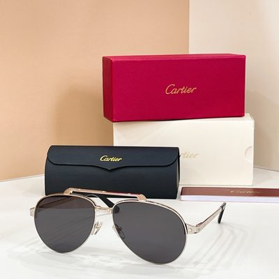 Cartier Sunglasses — 4