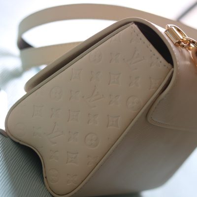 Louis Vuitton Bag — 5