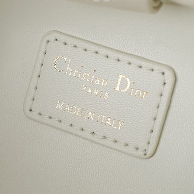 Dior Bag — 9