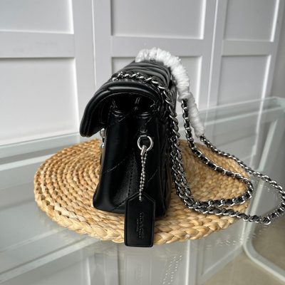 Coach Bag — 8