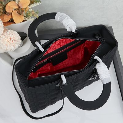 Dior Bag — 9