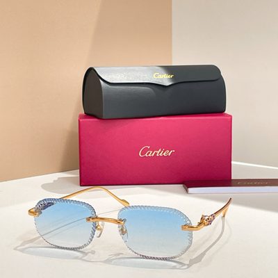 Cartier Sunglasses — 6
