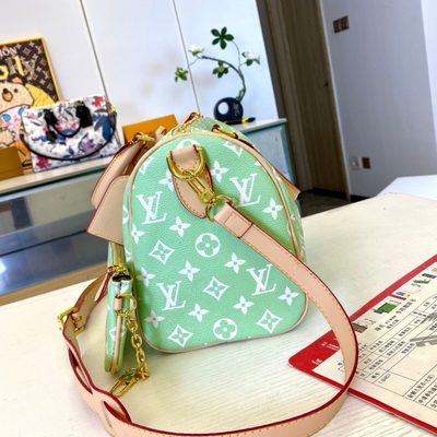 Louis Vuitton Bag — 7