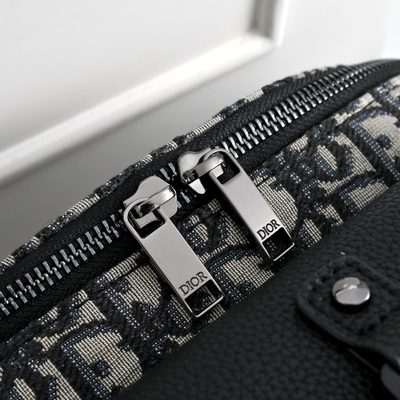 Dior Saddle Belt Bag — 6