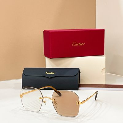 Cartier Sunglasses — 6
