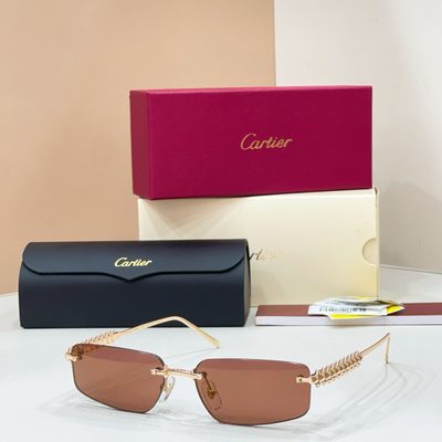 Cartier Sunglasses — 4
