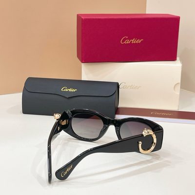 Cartier Sunglasses — 7