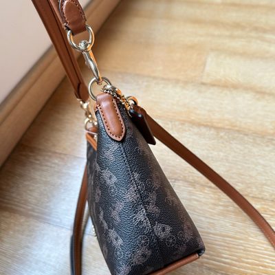 Coach Bag — 4