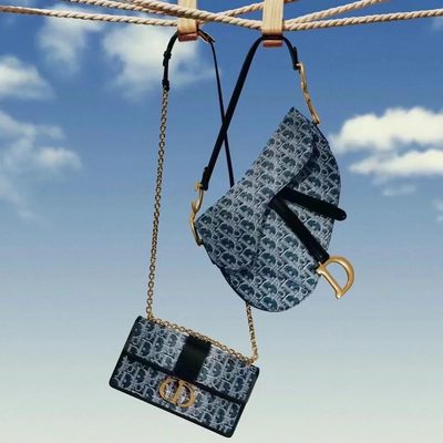 Dior Bag — 4