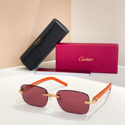Cartier Sunglasses — 6