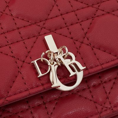Dior Bag — 5