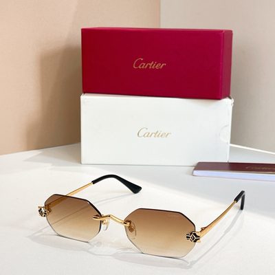 Cartier Sunglasses — 5