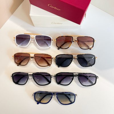Cartier Sunglasses — 8