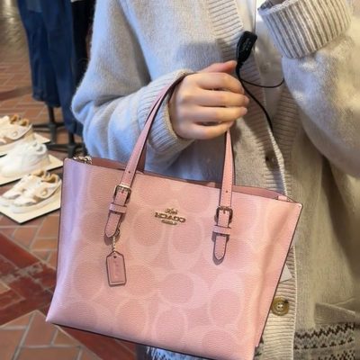 Coach Bag — 3